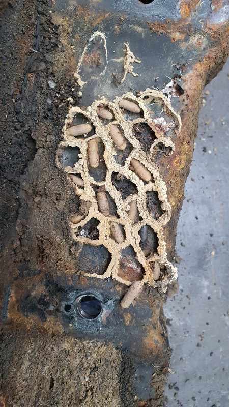 20220316_095017 (Custom)