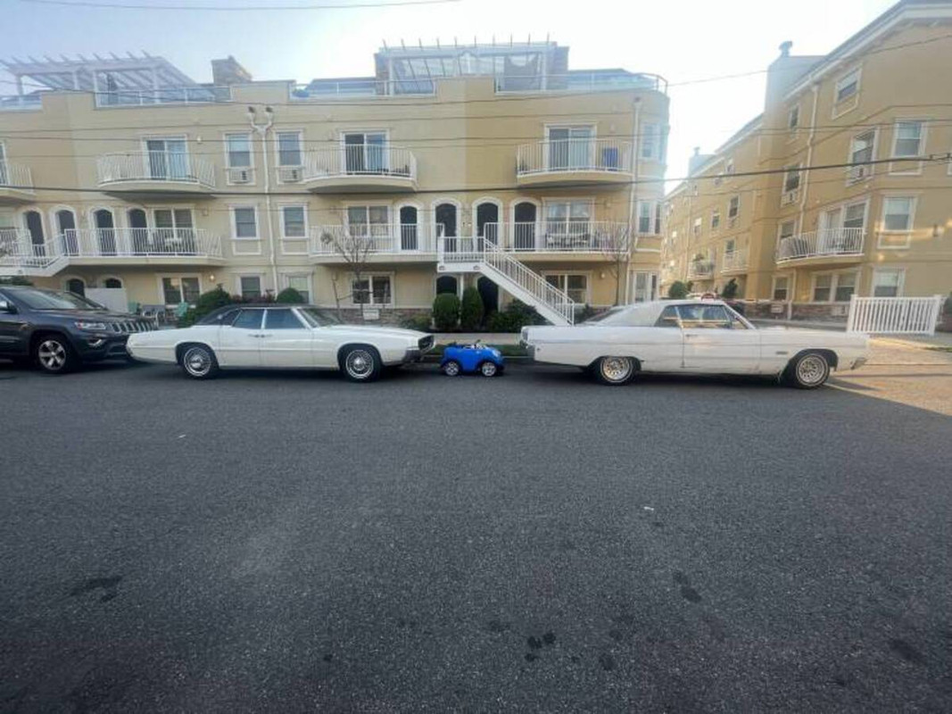 87425667.jpg