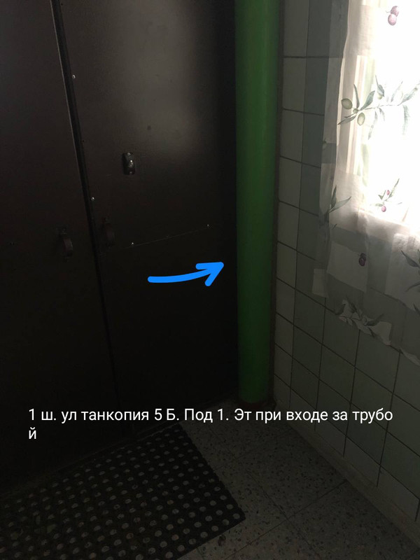 IMG 20251113 105956