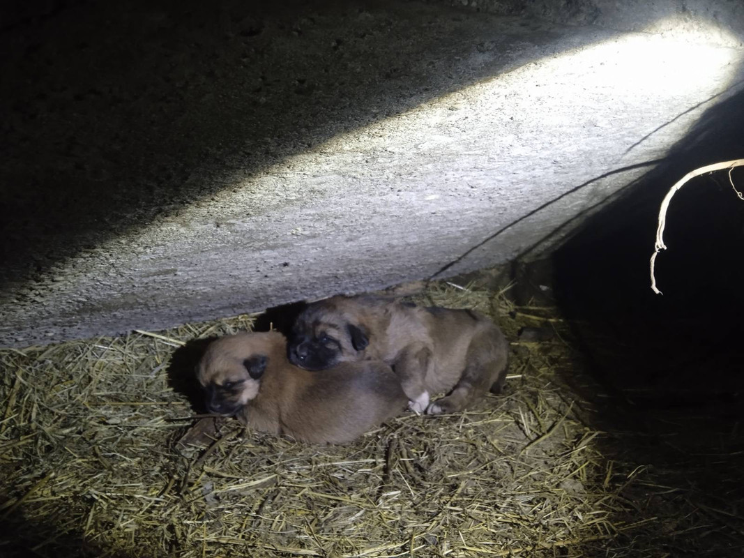 391831CC-673D-40DF-9D01-40F27B800197