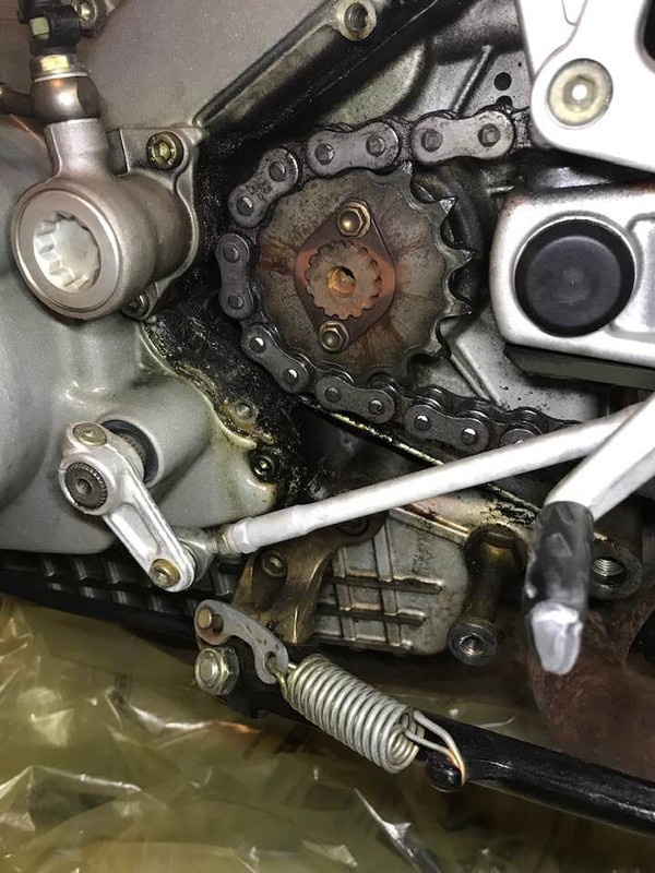 94975615_10222381576106158_1628718754751840256_n