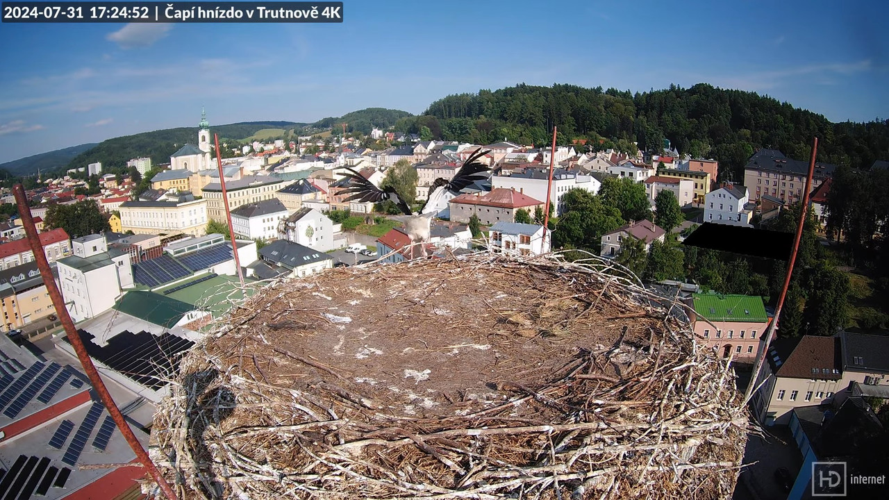 Tiešraidē no stārķa ligzdas uz alus darītavas skursteņa Trutnovā 13-20-2 screenshot