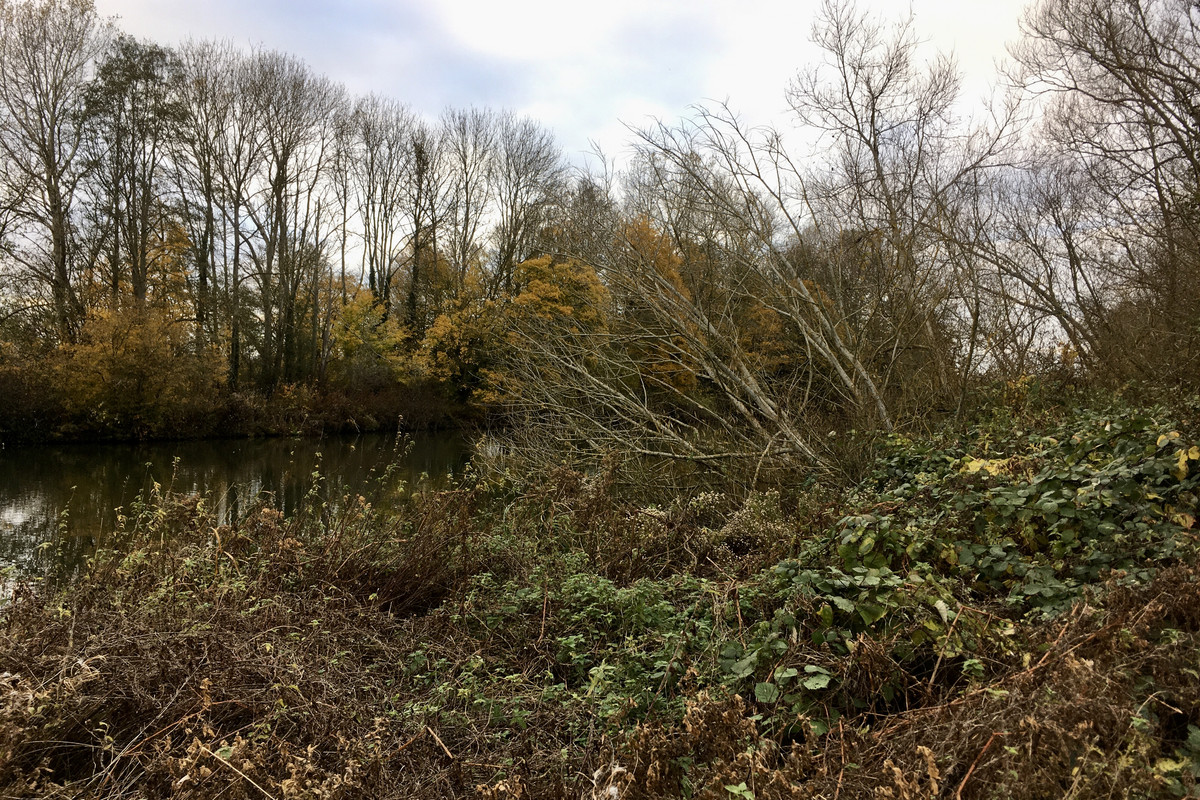 04B8EE34-365E-47CF-A7B7-C2DA657FF6E1