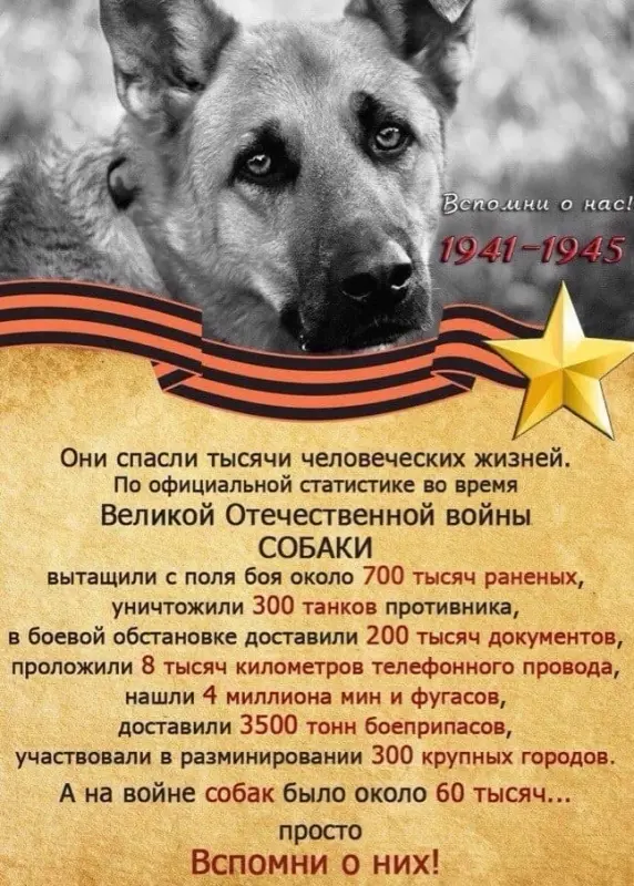 gogDiwZ6Qjz6XtpV77KdXPSToqm0QMFEOmAk3p0aAv4l2WCT2RiX77bRhibBMCPhnCm_RVQENL9cKamBROZA1TQy