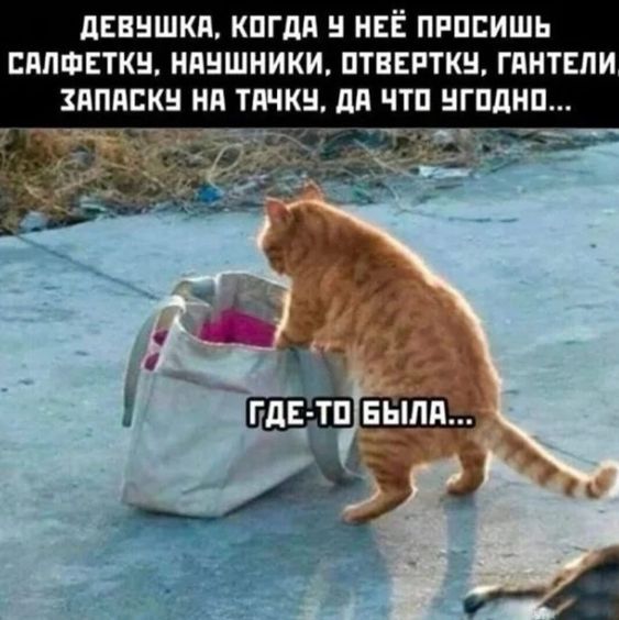 [Изображение: photo-2024-07-14-06-58-26.jpg]