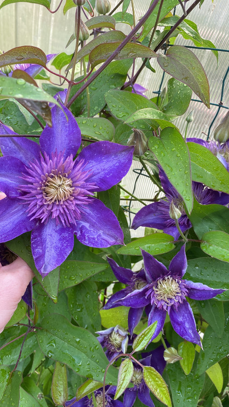 938697AD-22DB-49A7-8178-E56B57DAF5B8