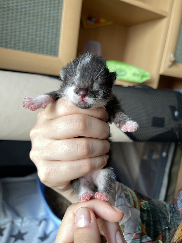 FCFB2F47-4B50-48B1-BB88-EA8CFD9971B7