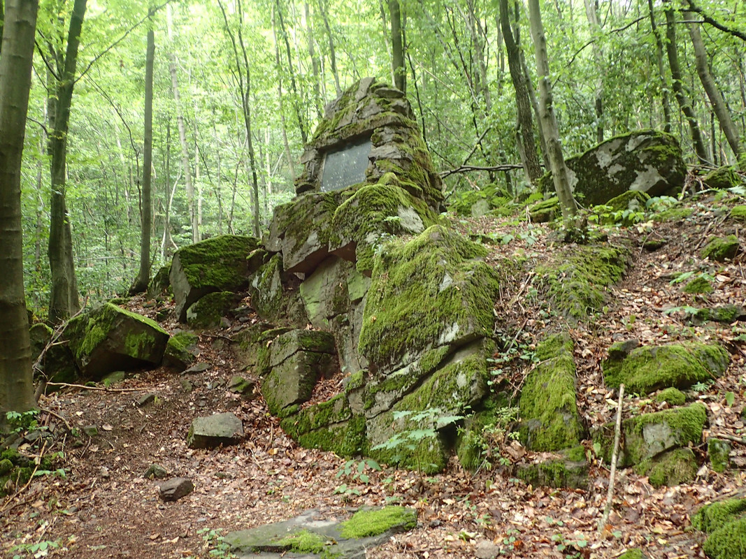 2019_0714VTACNIK_TG0029