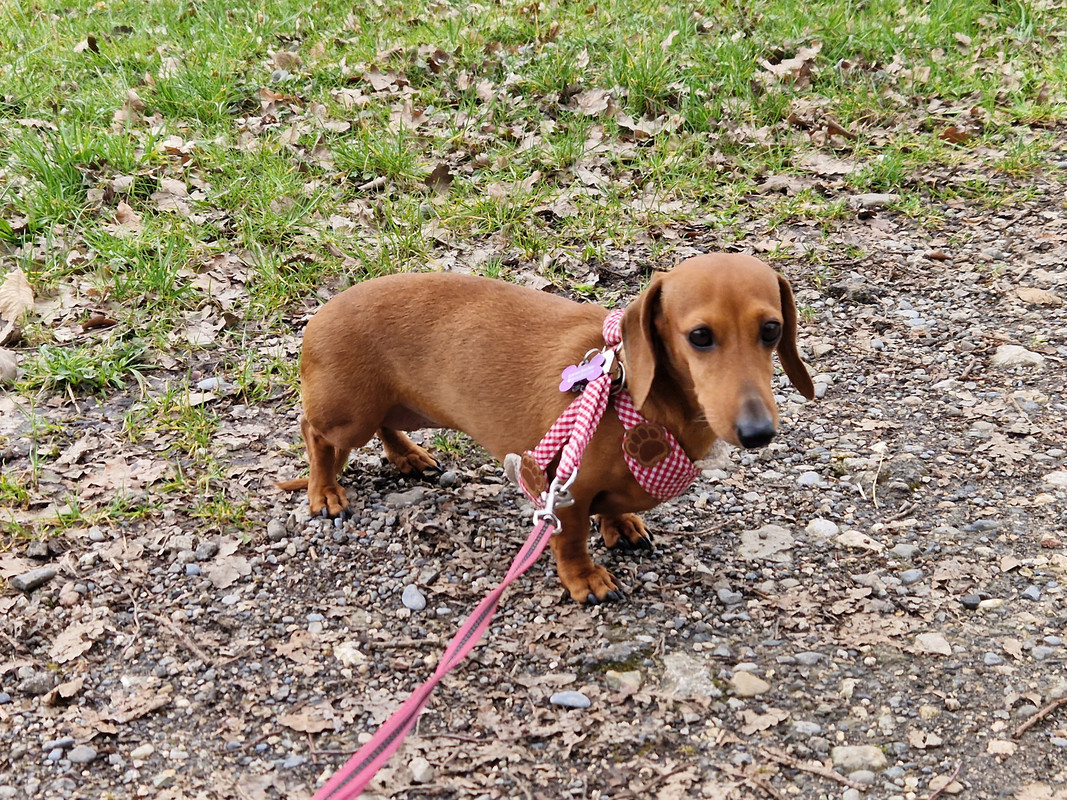 [Image: 20230319-155454.jpg]