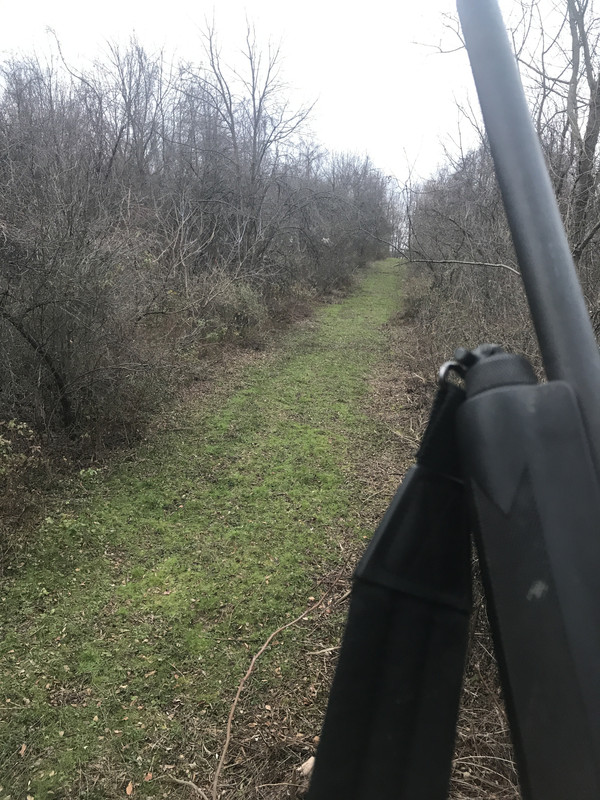 93043B68-D3AA-4F65-A077-A9CDBE141A13