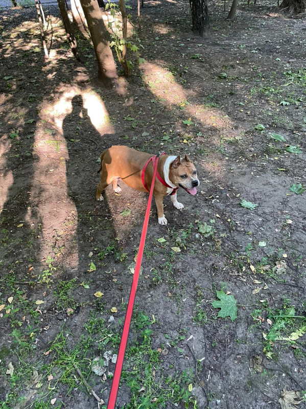 64E9C572-0094-4375-9C2C-92C5D6454E33