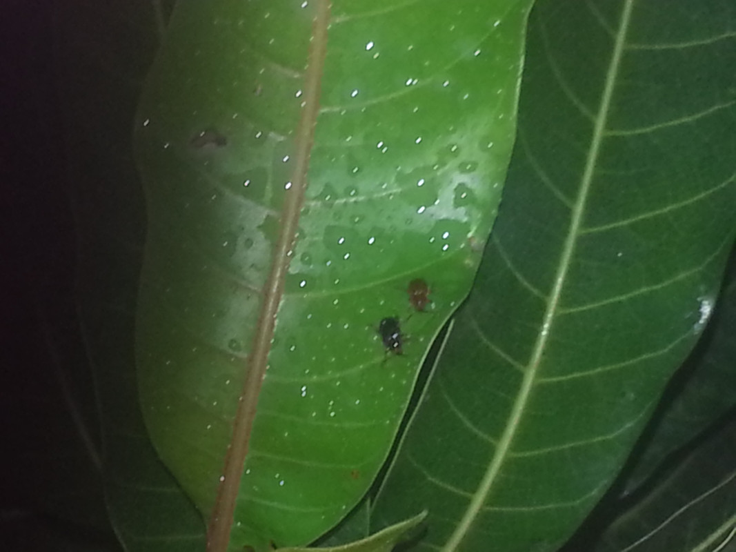 tmp_20140518_210057426253194