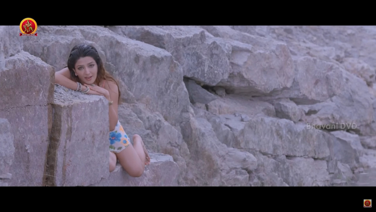 Sonia Mann Hot Navel Song From Dhee Ante 1080p.mp4_snapshot_00.30_[2020.11.21_22.33.22]