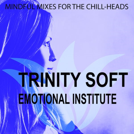 Various Artists - Trinity Soft - Emotional Institute (2021)