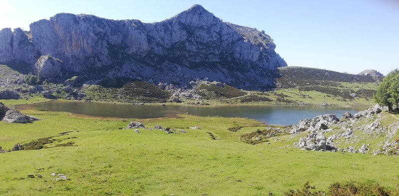 ESCAPADA POR ASTURIAS ORIENTAL - Blogs de España - LAGOS DE COVADONGA-PICO JULTAYU-COVADONGA Miércoles 9 de Septiembre (15)