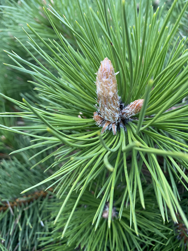 3F303BDF-3C8D-4798-B631-96A1C3D6994A