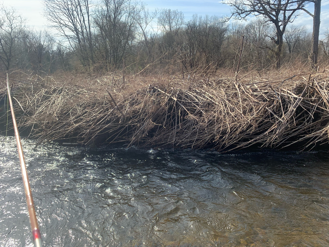 67AF6C32-31D3-4150-B7DD-AD256F60BB64