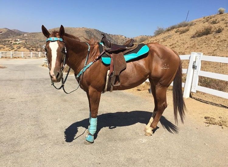 11C1F585-A9BD-4C74-9C64-3D0A5D593ED3