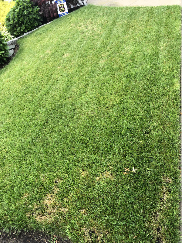 C607A7B3-9C53-4AF5-BBC3-DD04B57BDAF1