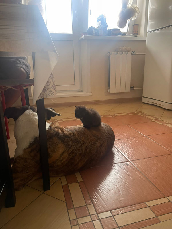 CC1CF2BF-C2D5-4172-B2B2-B994661566F1