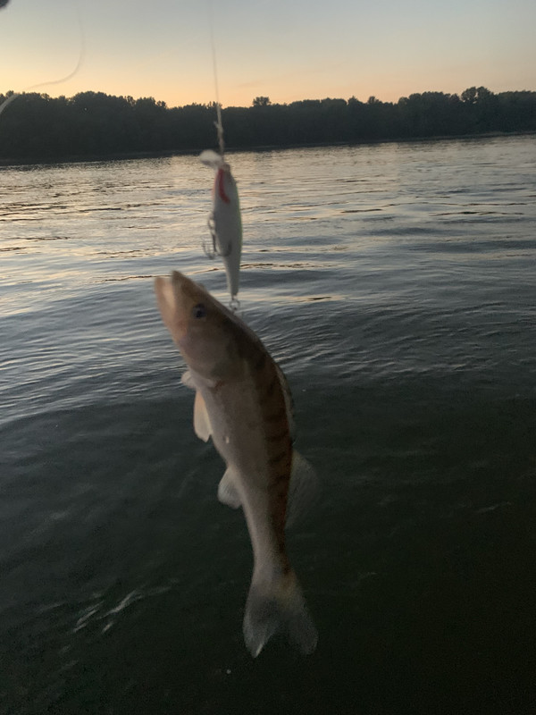 BFBB13B0-90F0-4037-AFC2-5110A0C9A1FE