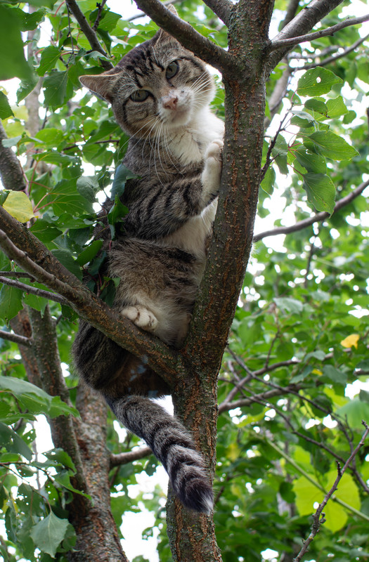 P7210019-Улучшено-Ум. шума