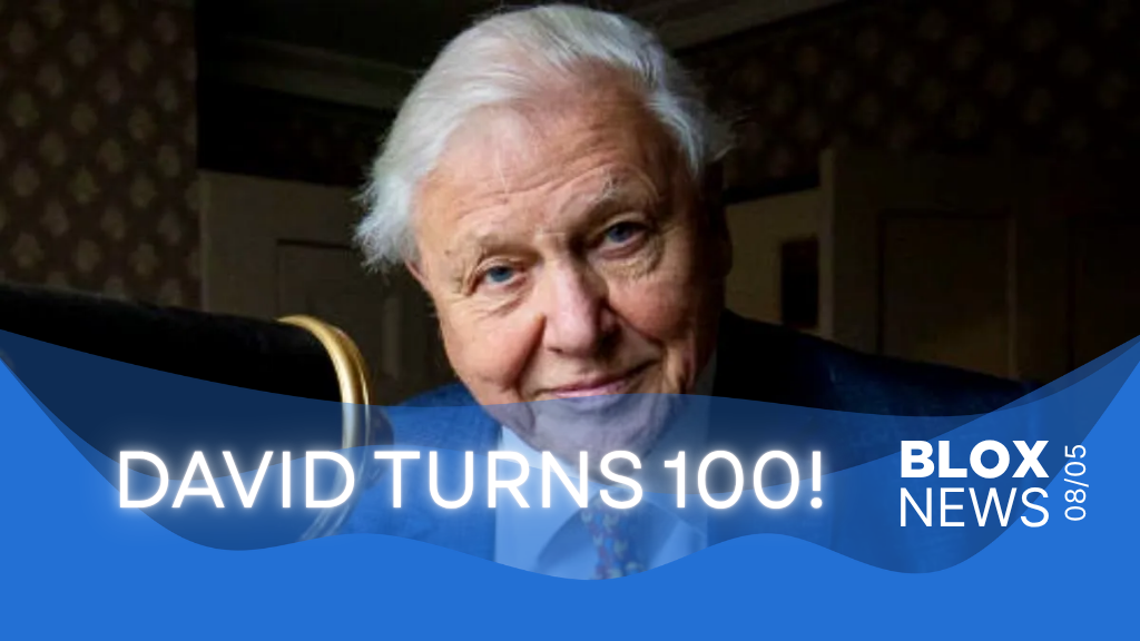 DAVID TURNS 100!