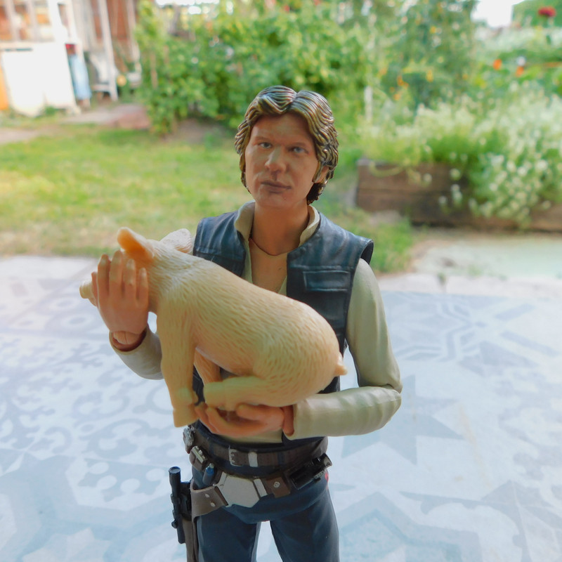 Дачно-Харлинский июнь-июль 2024 306