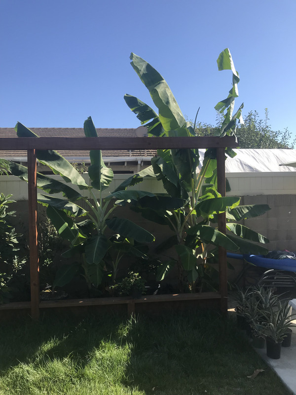 B5034372-5183-4833-B921-387FC3ADE762