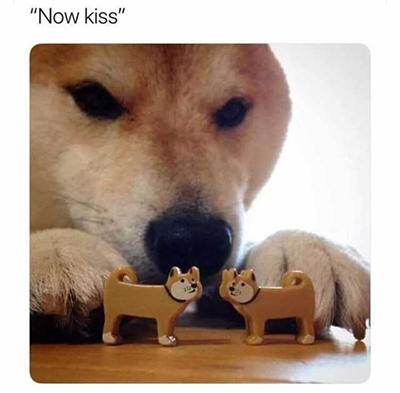 https://i.postimg.cc/FFWXsWP7/now-kiss.jpg