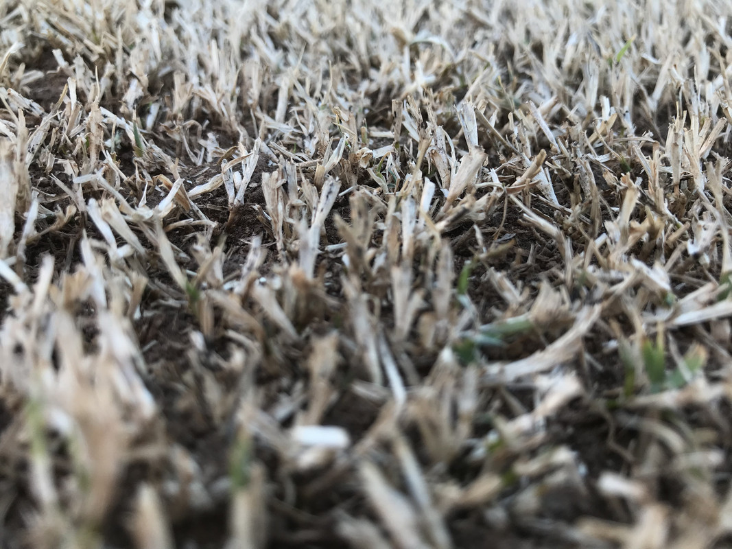 38E5FEB8-A7E5-4F30-AC62-50B621E7C47E