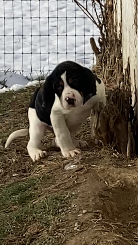 4319D432-904D-4630-9A23-F4717E01B0BF