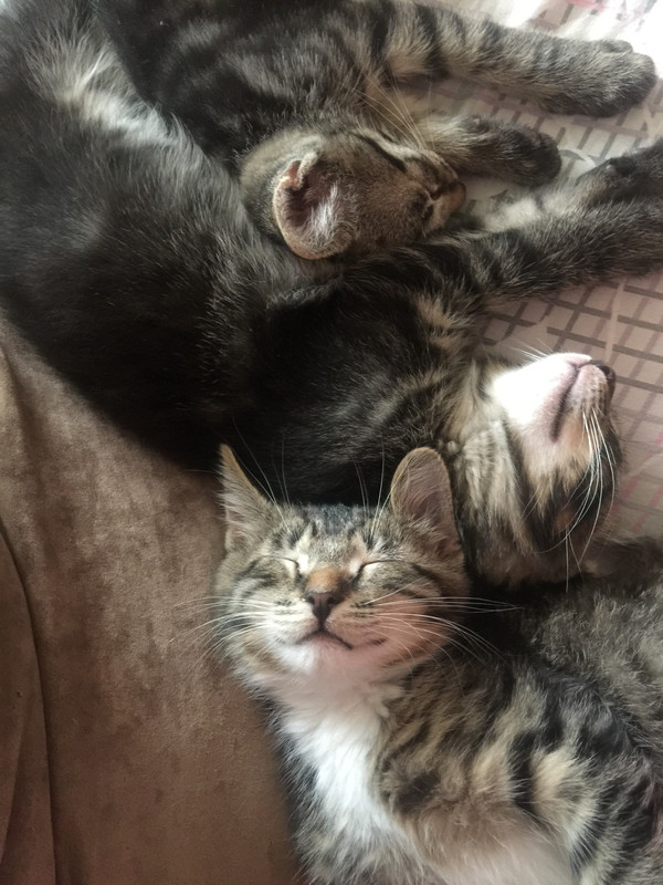 BC23D75E-386A-4794-912B-BBCA7BECDEF1