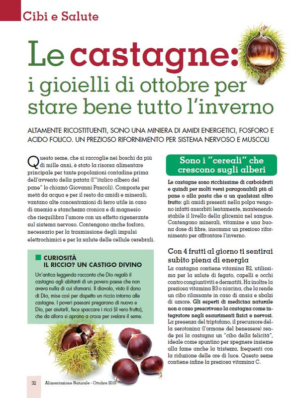 Alim Nat Ott 2016 (3)