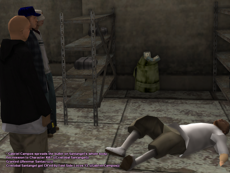 SS11.png