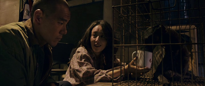 vlcsnap-2025-07-11-21h11m53s367