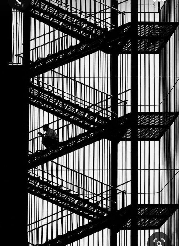 Screenshot_20230805_203803_Pinterest