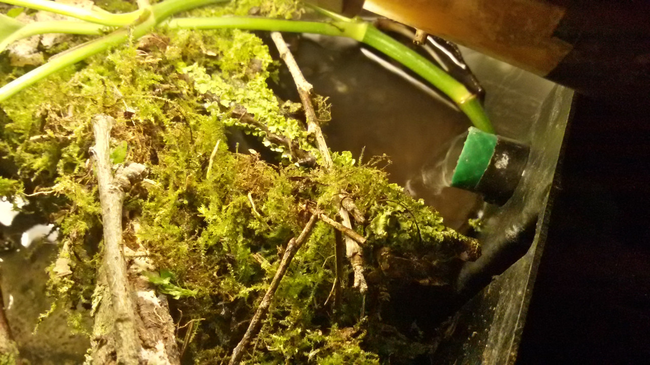 20141028_171150_Richtone(HDR)