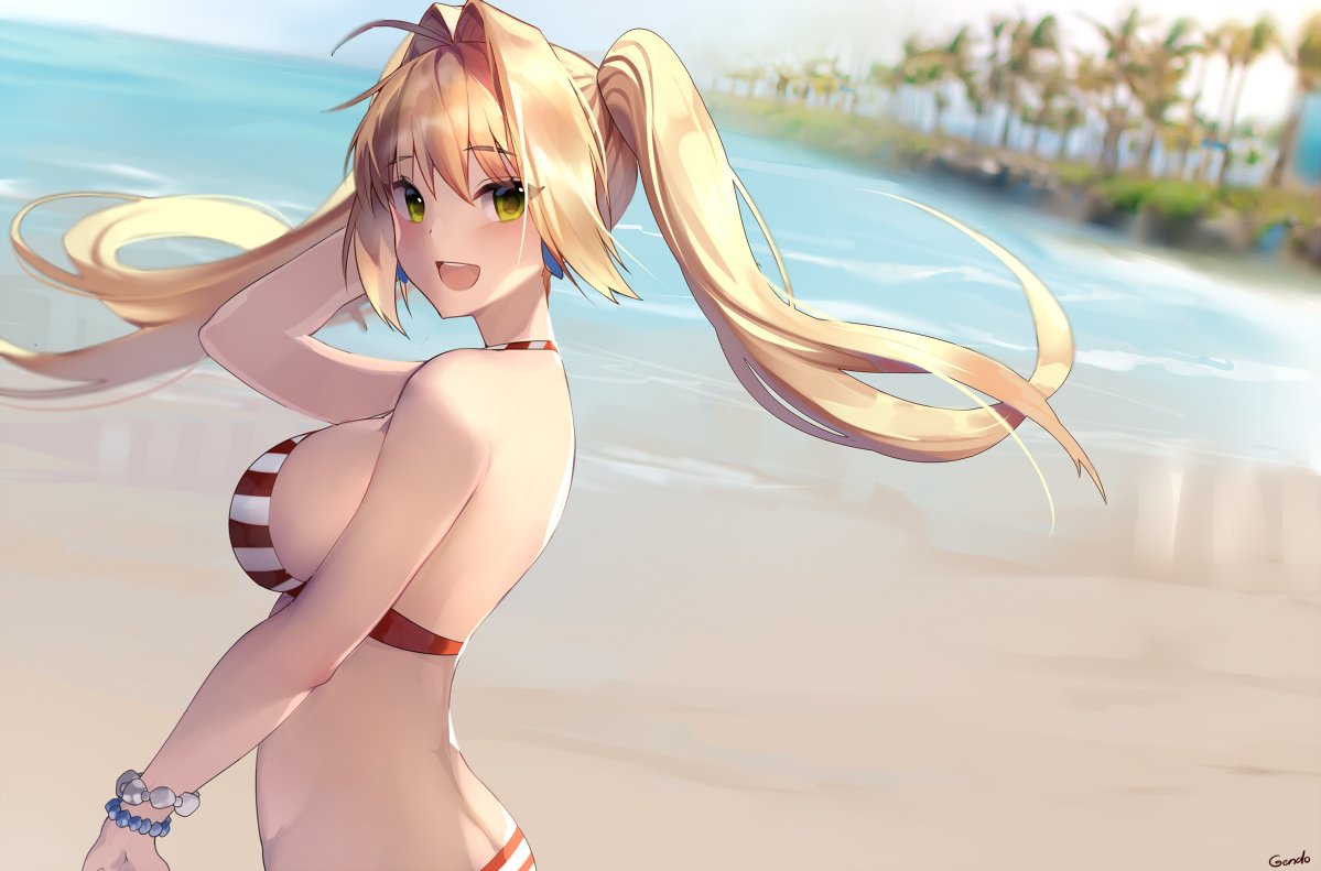 nero-claudius-and-nero-claudius-fate-grand-order-and-etc-drawn