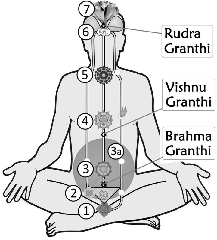 granthis-in-yoga-923x1024.jpg