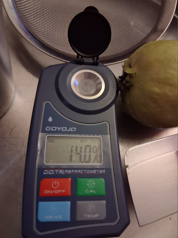 20261004 125811