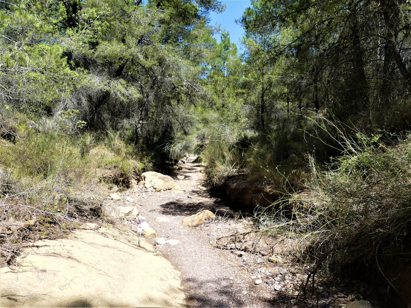 RUTA DE LAS CARAS EN LA RAMBLA DEL CIGARRON-23-7-2020 - Murcia y sus pueblos-1991/2022 (40)