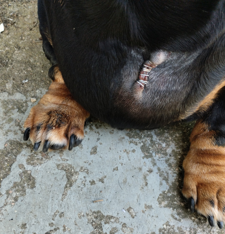 [Image: Blessure.jpg]