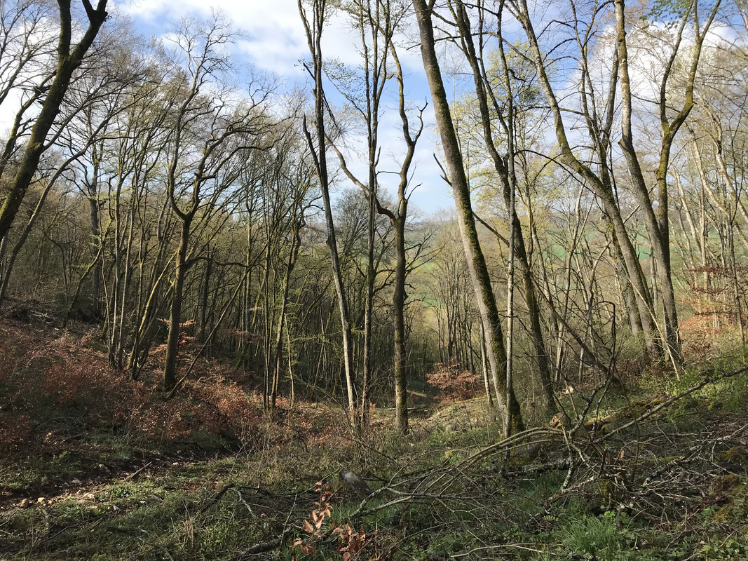 F921B8CC-24BB-49C0-A832-12DA6DE89E8A