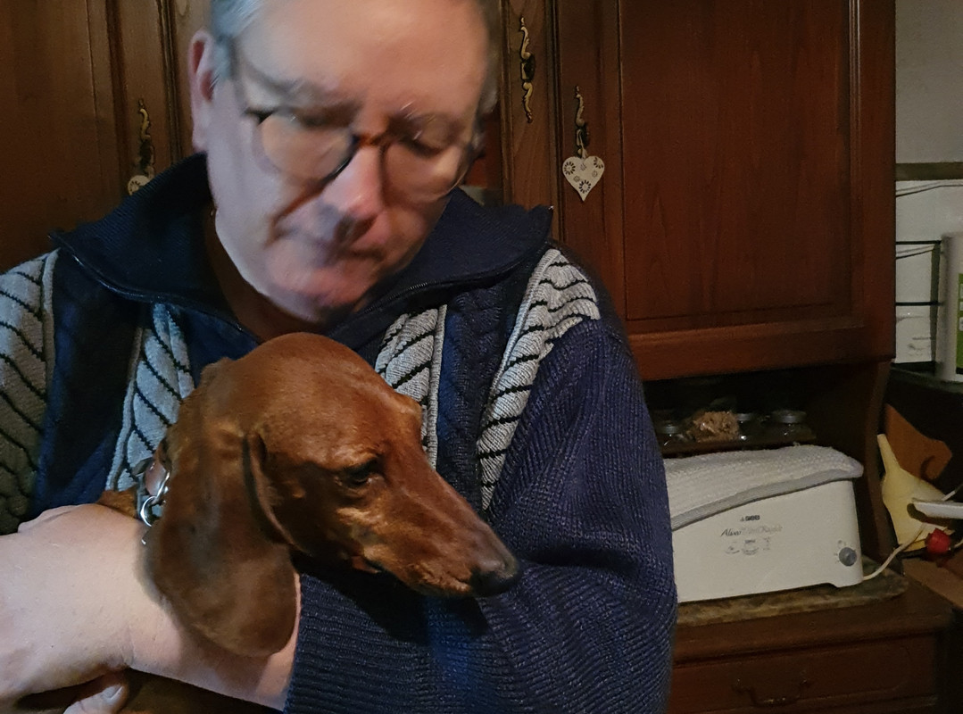 [Image: 20210110-193139.jpg]