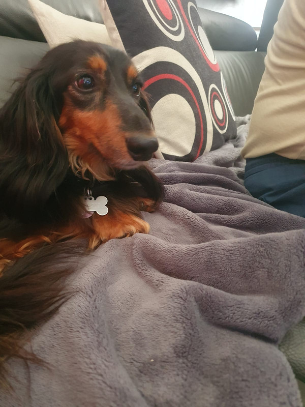 [Image: IMG-20250909-WA0008.jpg]