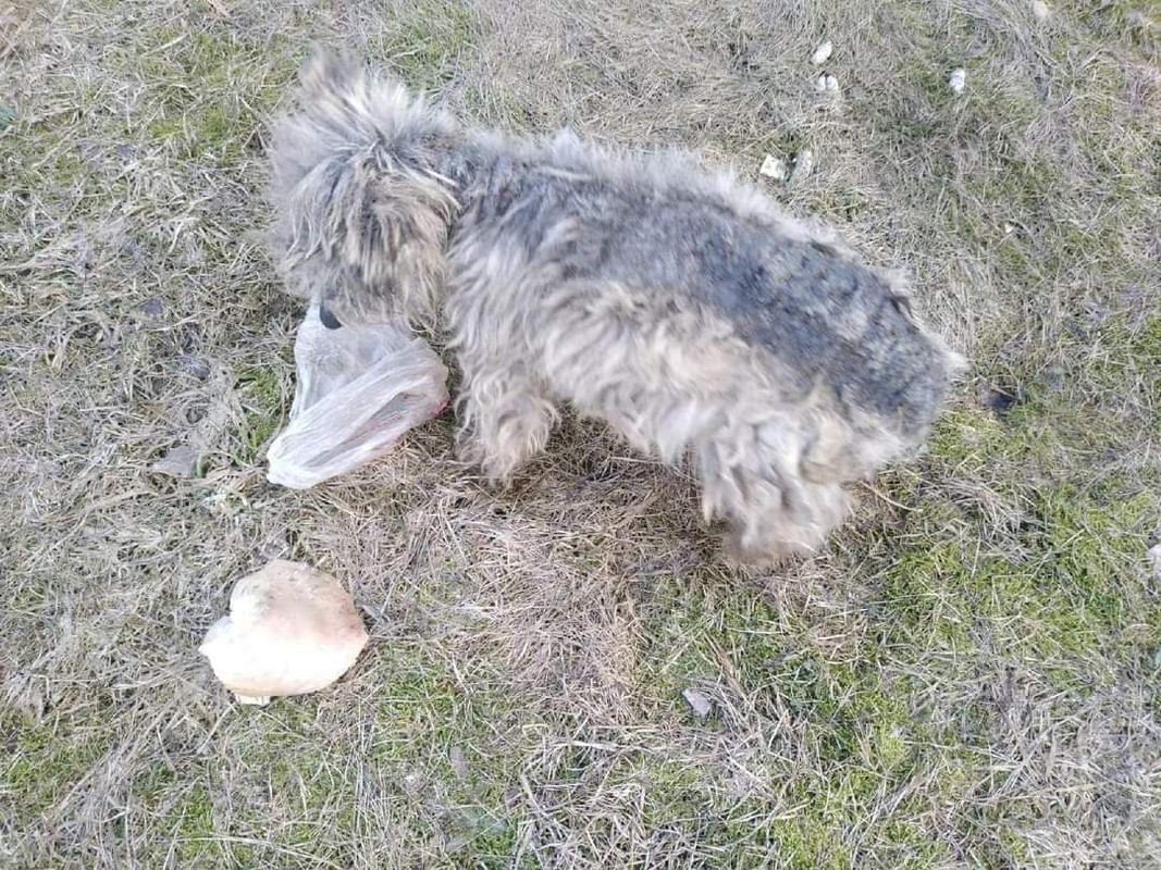 CDD893B5-AAA5-44DE-8337-5E76B85F21B2