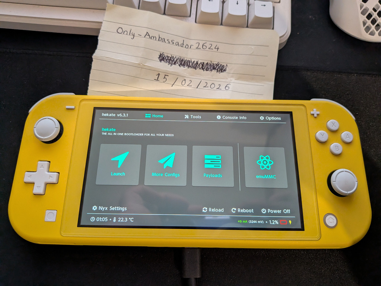 PXL 20260215 144010393