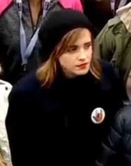 watsonuncensored.blogspot.com (61)