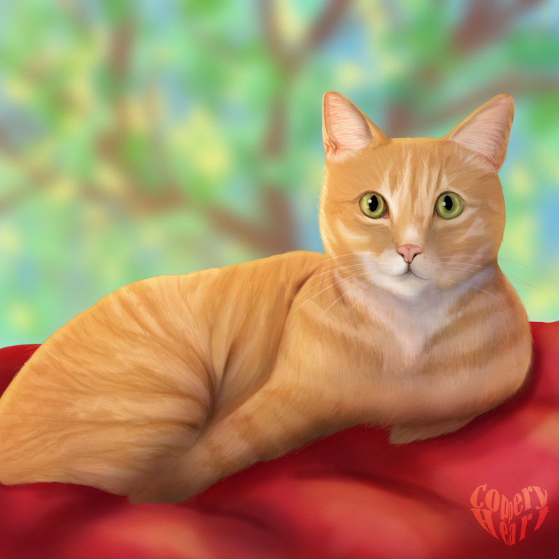 A drawing of an orange cat on a red pillow from the artist CopperyHeart.